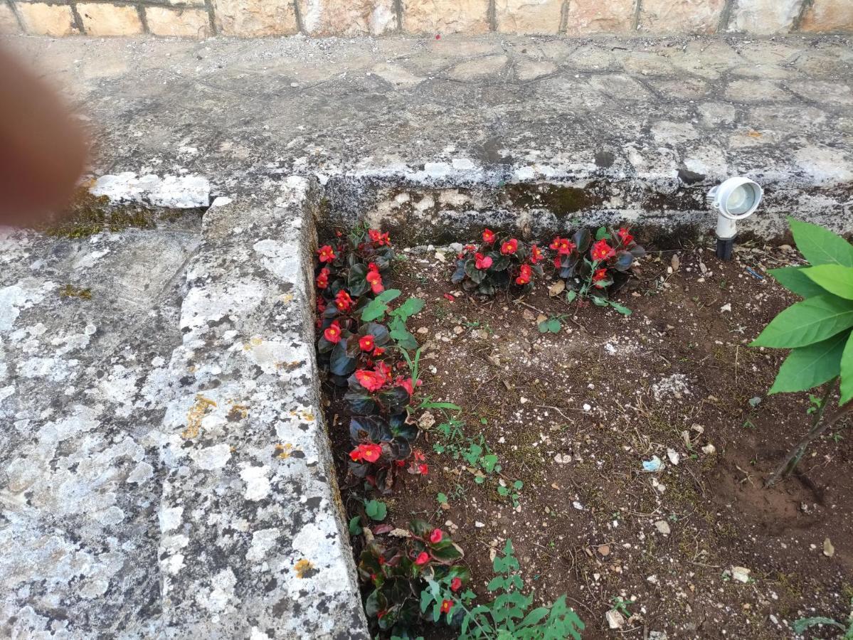 La Dimora Del Cuore Monopoli Luaran gambar